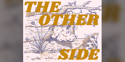 Cover image for The Other Side