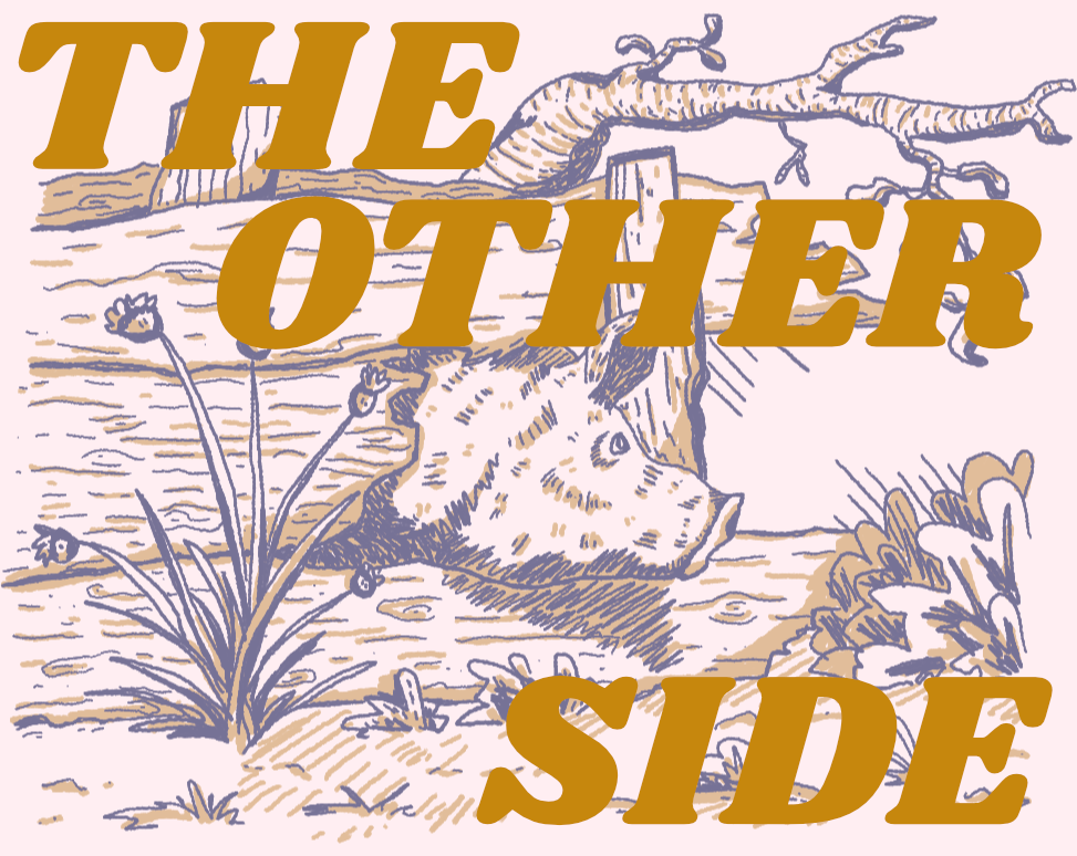 Cover image for The Other Side