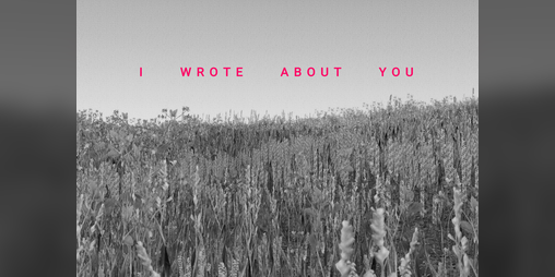 Cover image for I Wrote About You