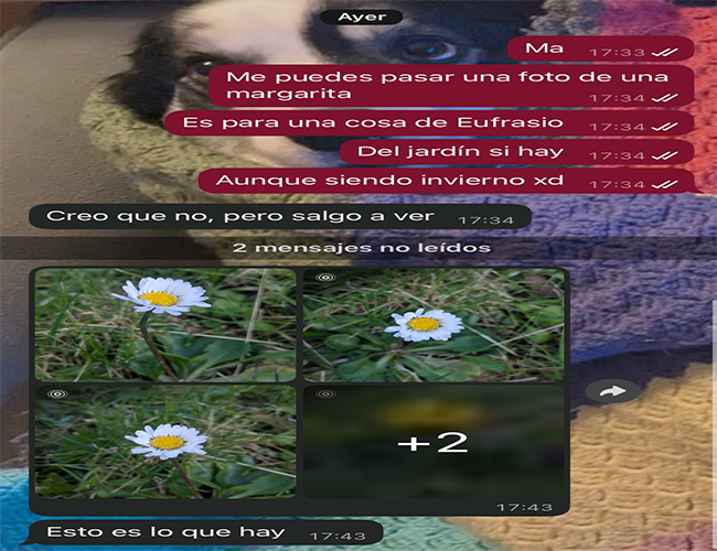 Cover image for While inseguridad = true