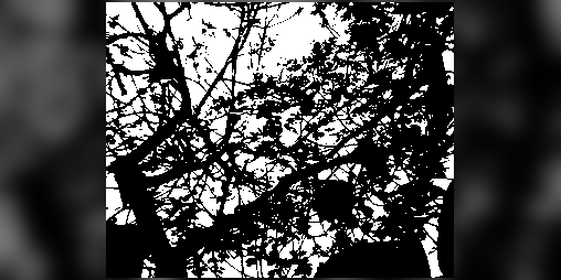 Cover image for (In)Saciable
