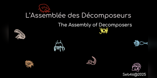 Cover image for The Assembly of Decomposers