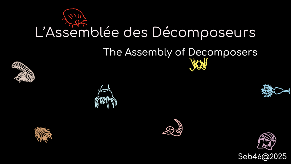 Cover image for The Assembly of Decomposers
