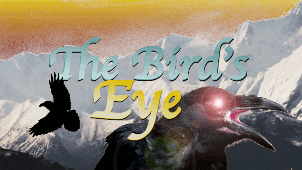 The Bird's Eye