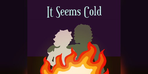 Cover image for It Seems Cold