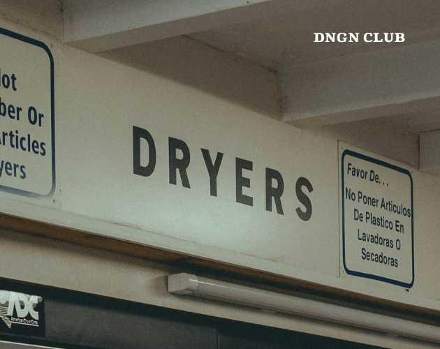 Cover image for DRYERS