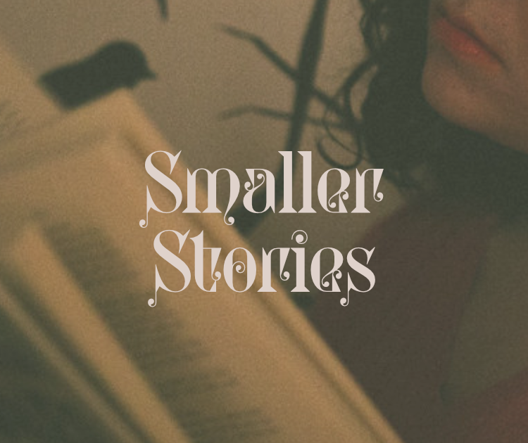 Cover image for Smaller Stories: PTGS Ashcans