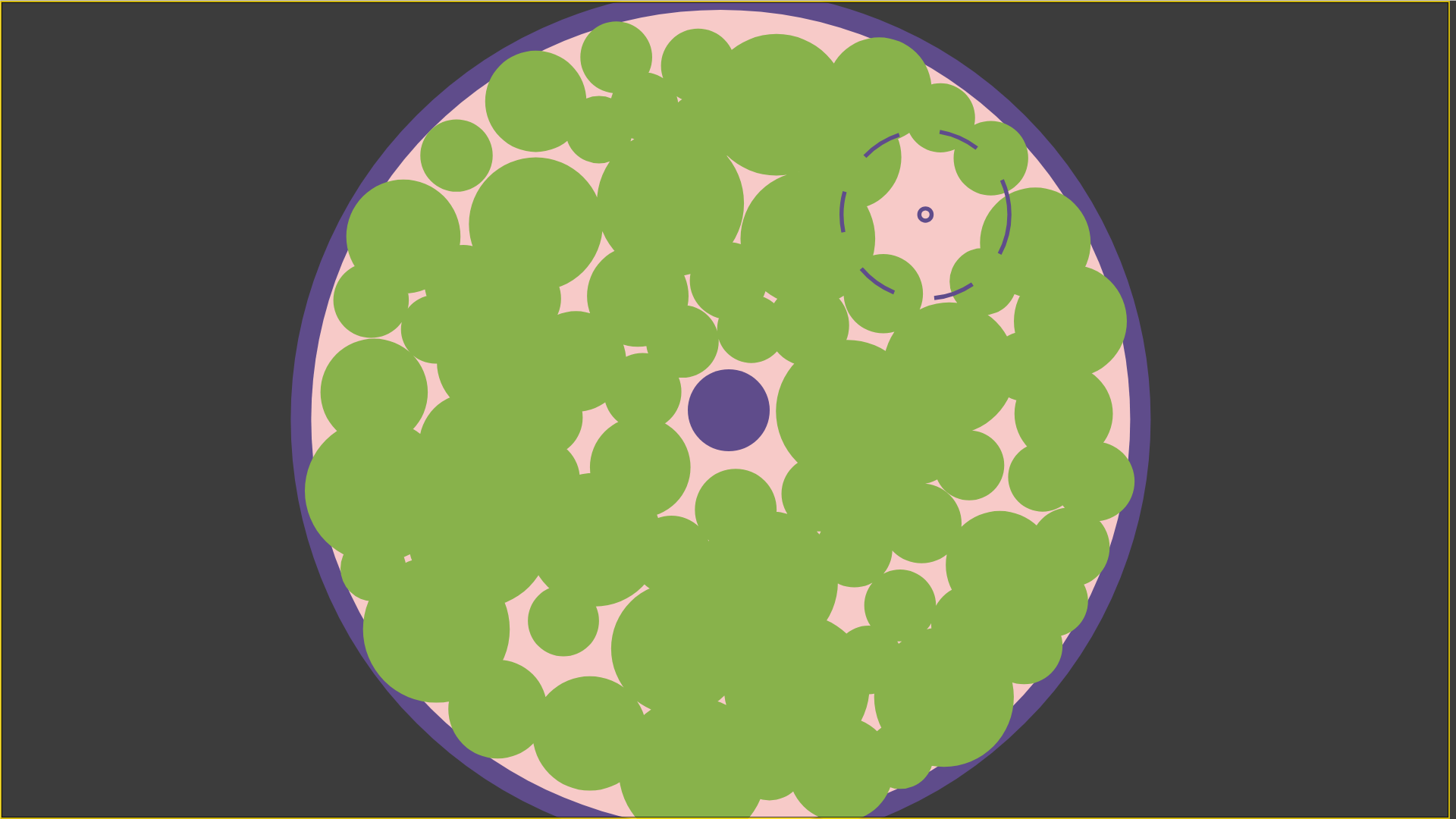 Cover image for Go Touch Grass