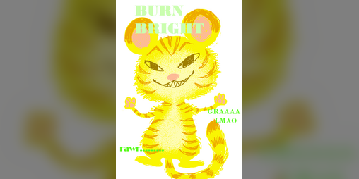 Cover image for BURN BRIGHT