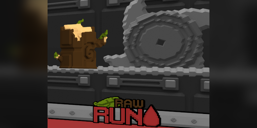 Cover image for Raw Run