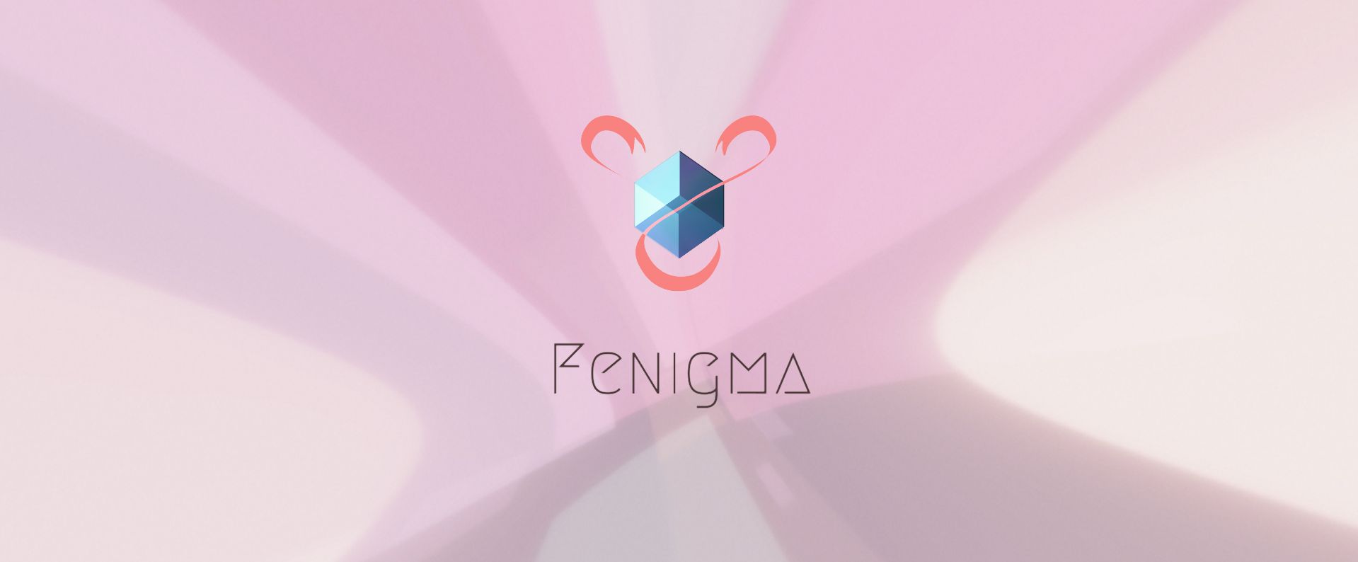 Cover image for Fenigma