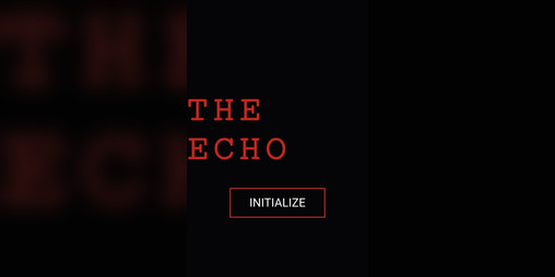 Cover image for The Echo