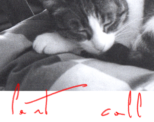Cover image for last call