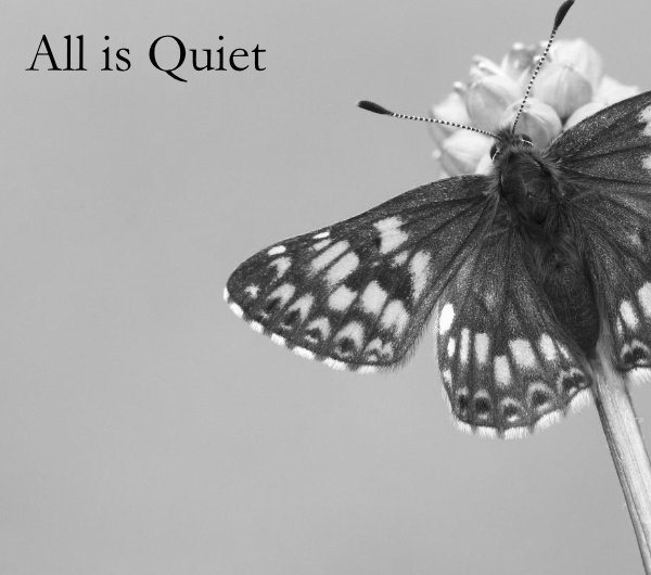 Cover image for All is Quiet