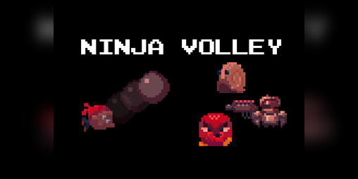 Cover image for Ninja Volley