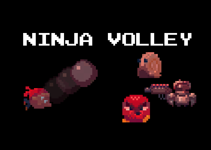 Cover image for Ninja Volley