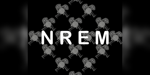 Cover image for NREM