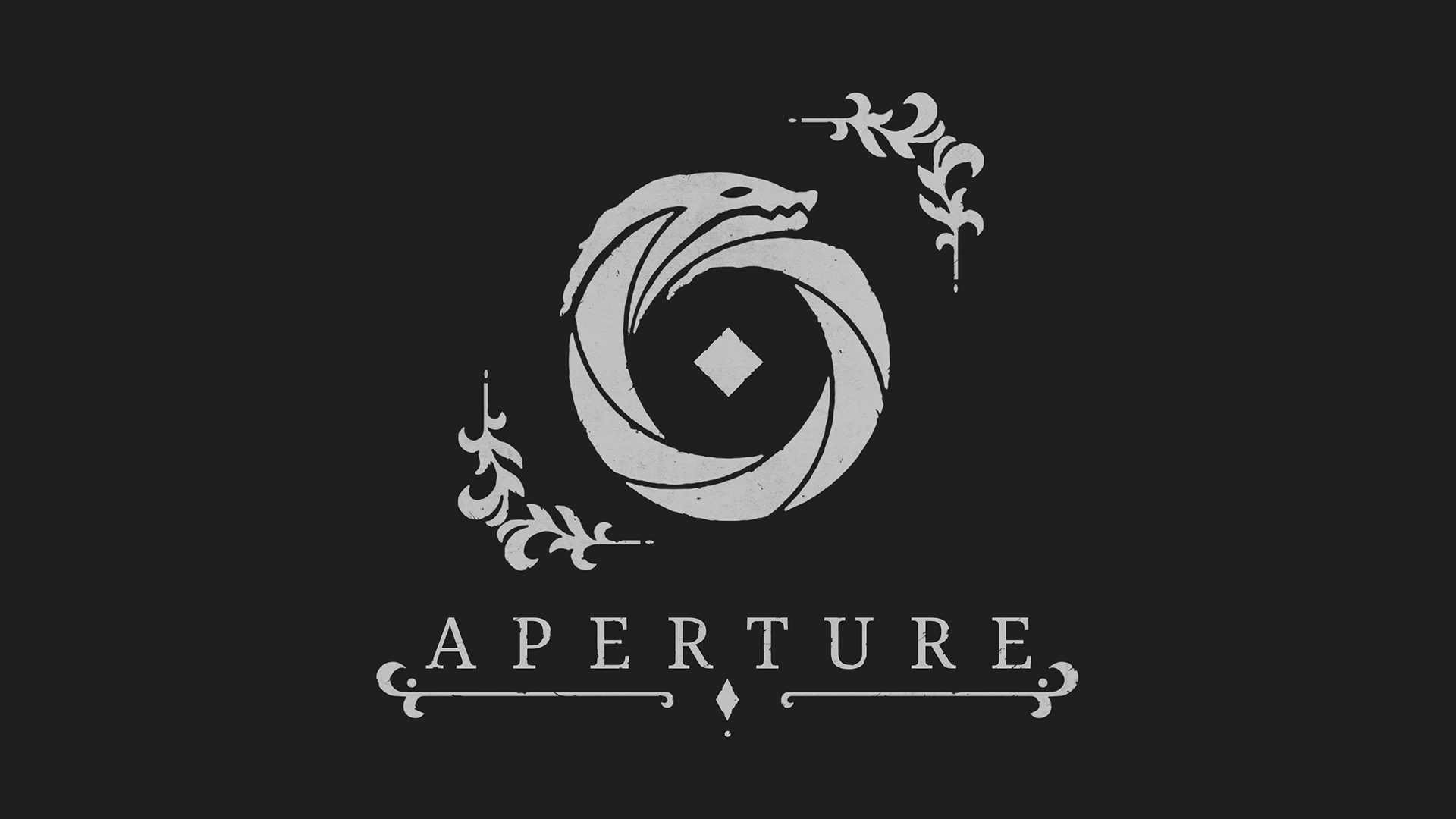 Cover image for Aperture