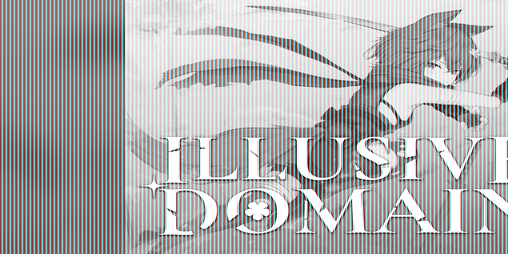 Cover image for Illusive Domain