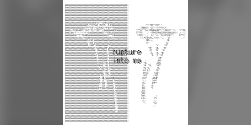 Cover image for rupture into me