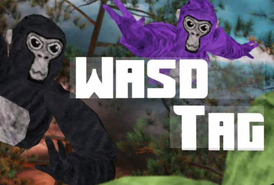 WASD TAG