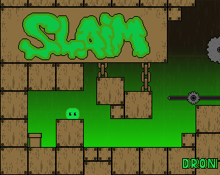 Cover image for Slaim