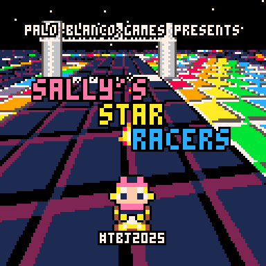 Cover image for Sally's Star Racers