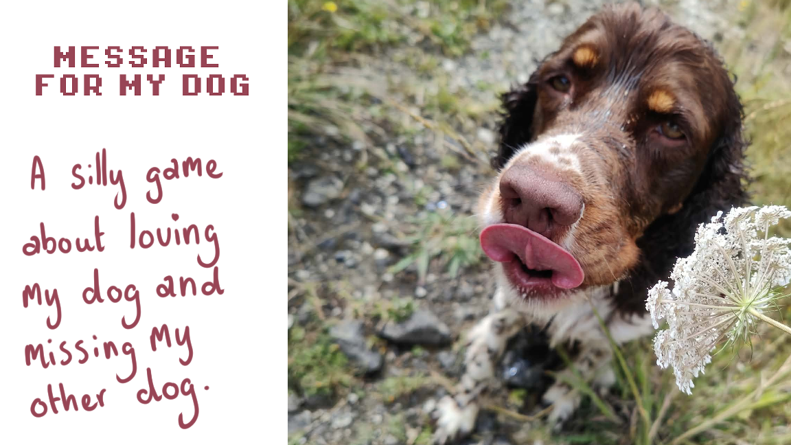 Message for my Dog (Jam Version)