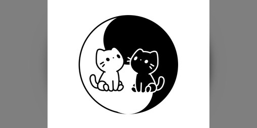 Cover image for Yin and Yarn