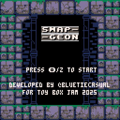 Cover image for Swap-geon
