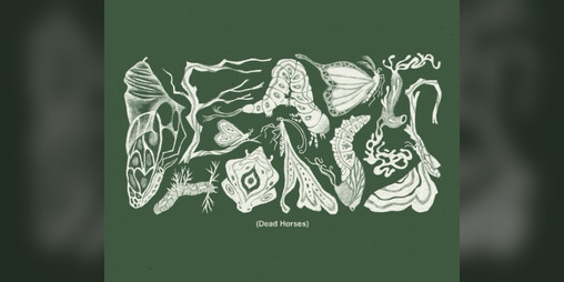 Cover image for Dead Horses