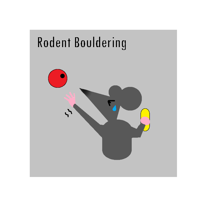 Rodent Bouldering