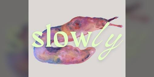 Cover image for Slowly
