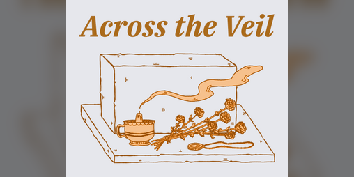 Cover image for Across the Veil