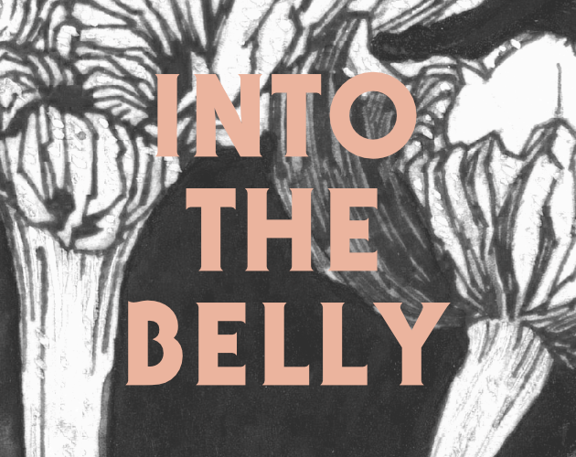 Cover image for Into the Belly: A City Adventure for Cloud Empress