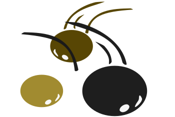 Balls adventure