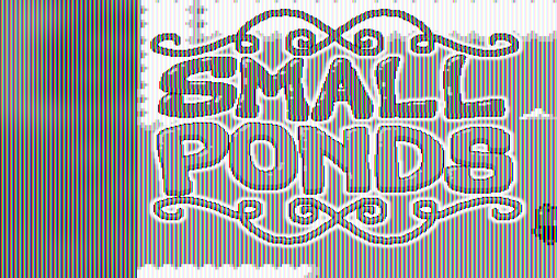 Cover image for Small Ponds