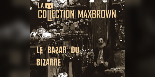 Cover image for La collection Maxbrown - Le bazar du bizarre