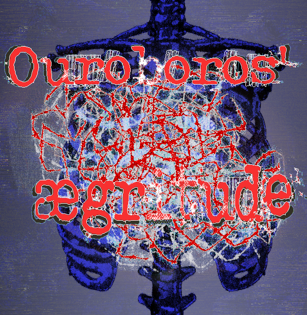 Cover image for Ouroboros' ægritude