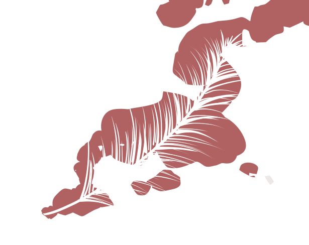 Cover image for Broken Souls
