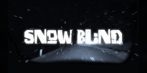 Cover image for SNOWBLIND