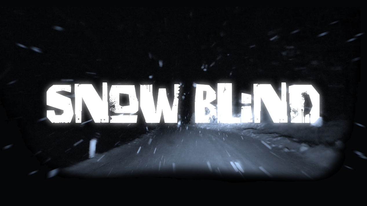 Cover image for SNOWBLIND