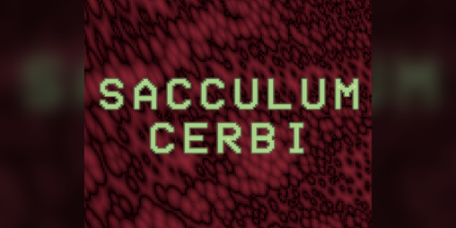 Cover image for Sacculum Cerbi