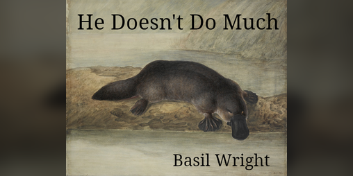 Cover image for He Doesn't Do Much