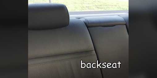 Cover image for backseat