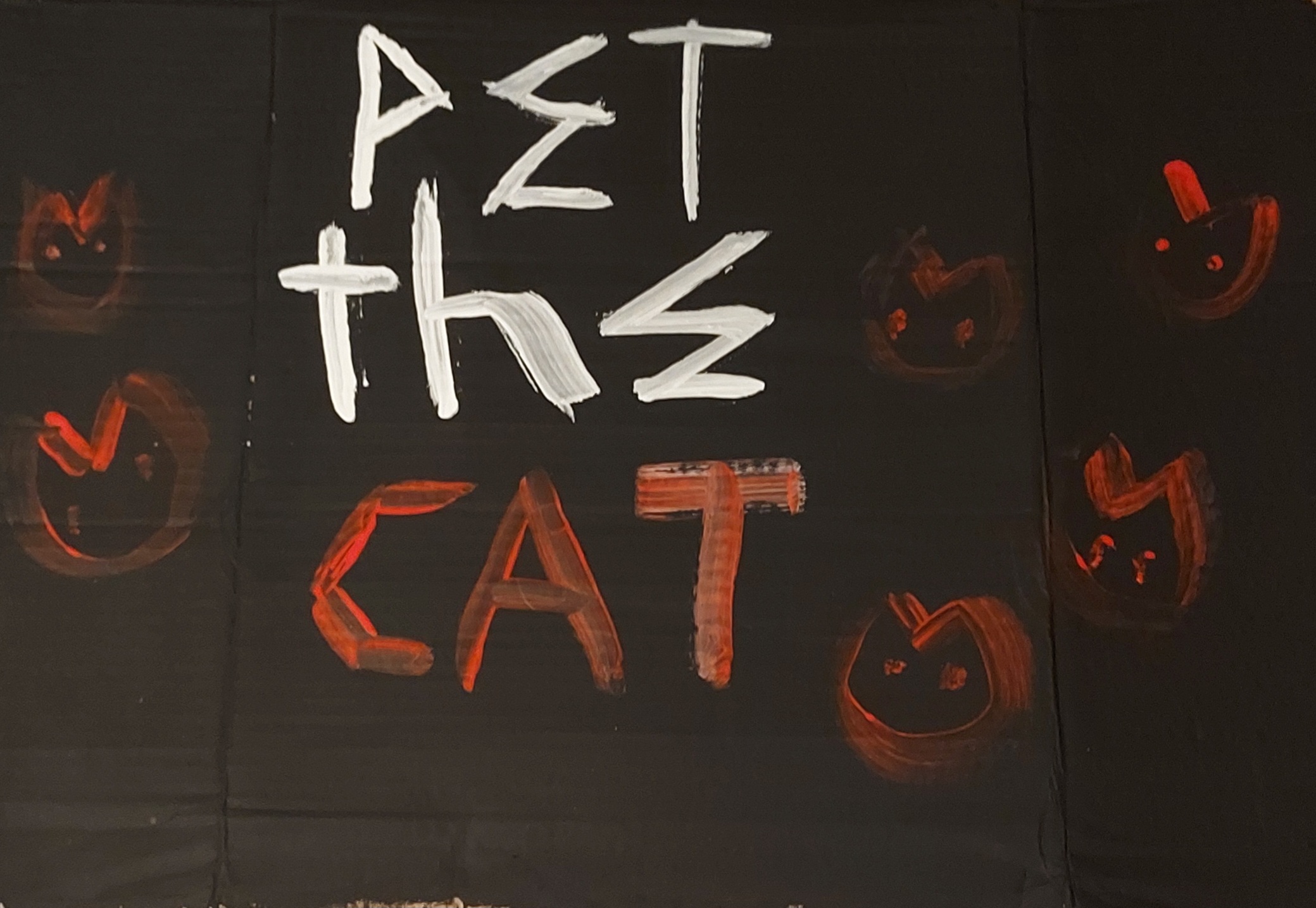 Cover image for Pet the cat