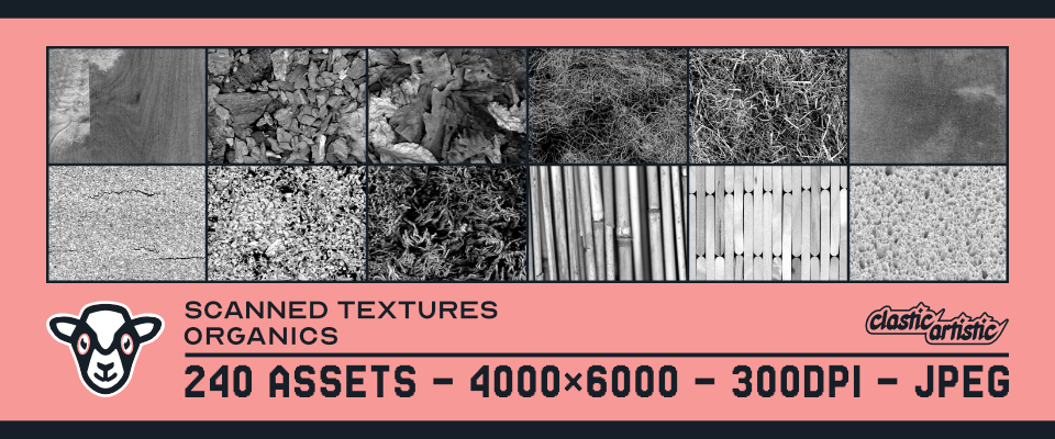Scanned Textures – Organics