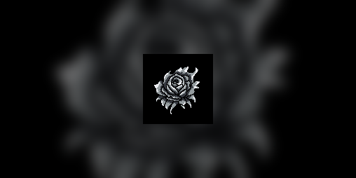 Cover image for Ashern Rose