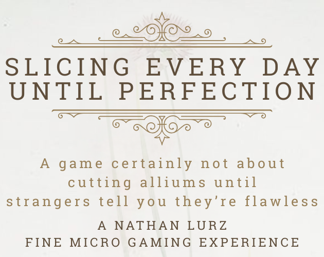 Cover image for Slicing Every Day Until Perfection
