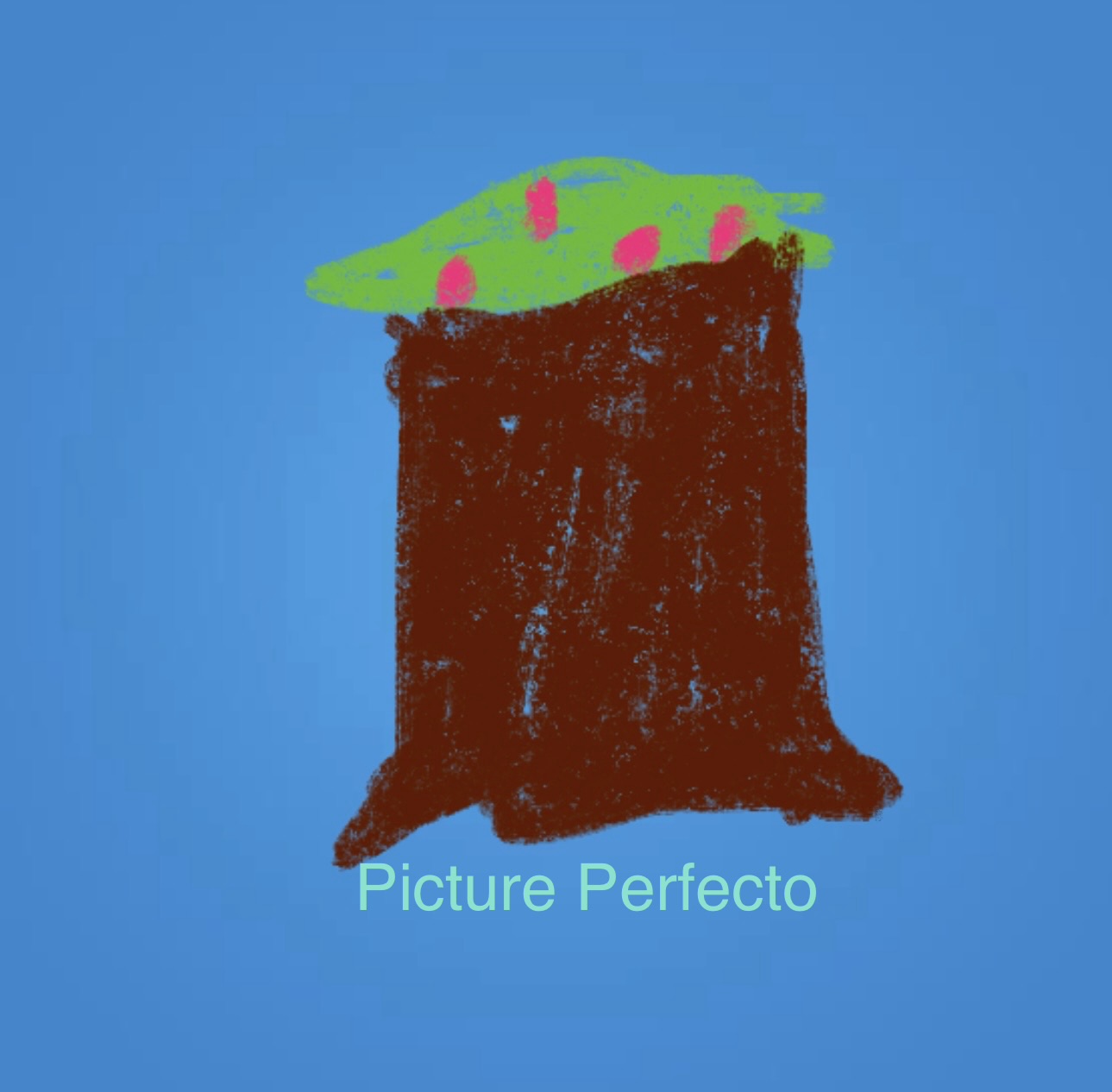 Picture Perfecto